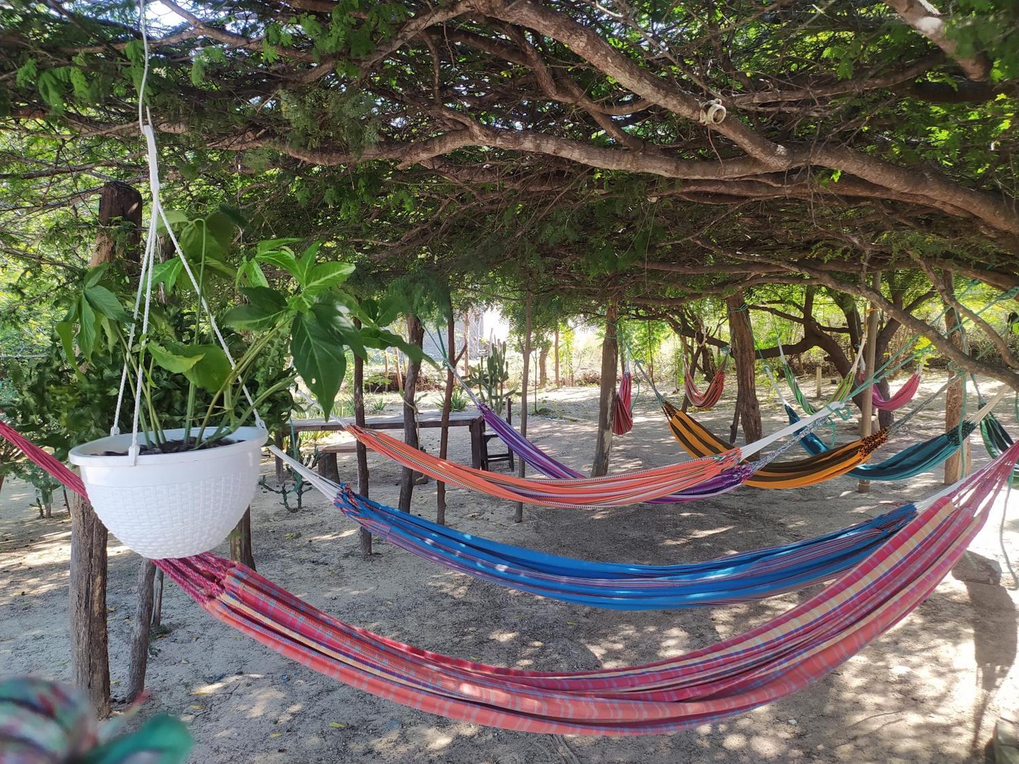 Hotel Flamencamarones Екстер'єр фото